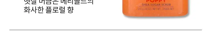 [포켓몬 에디션/5월 올영픽] 트리헛 시어 슈가 스크럽 510g 단품/포켓몬 에디션 기획 상세페이지 9